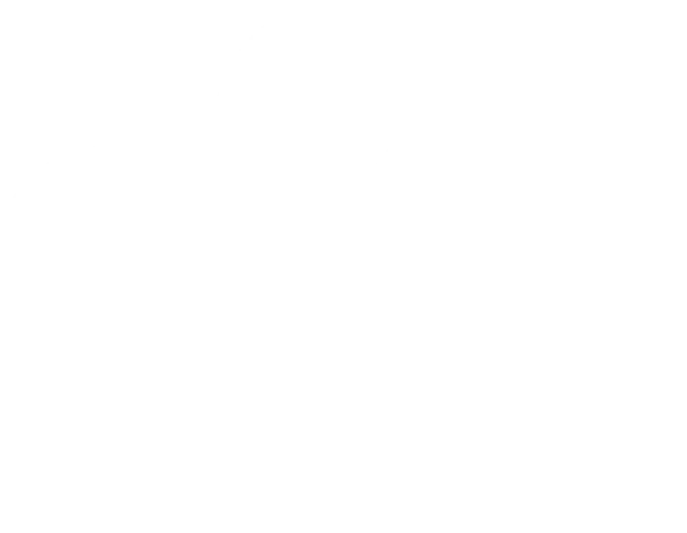 Fin